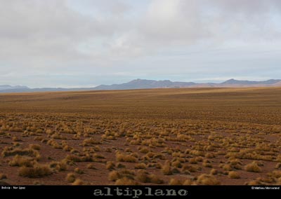 035_06_lipez
