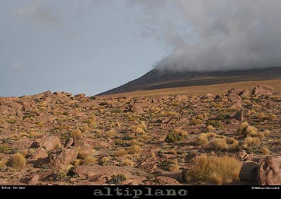 035_08_lipez