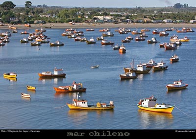 070_05_carelmapu