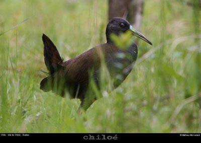 079_03_duataoacces
