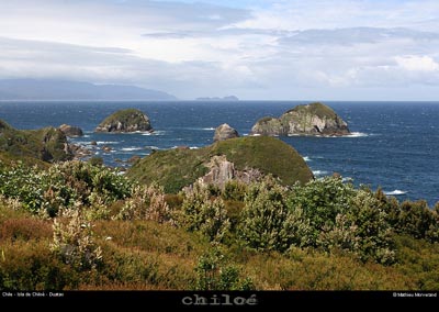 079_18_duataopte