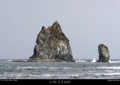 079_21_duataorocks