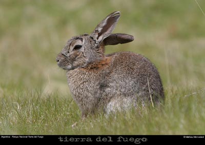 176_16_parctdf