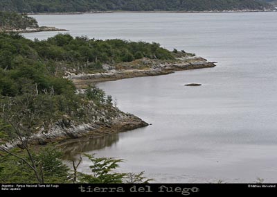 176_17_parctdf