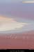 016_06_flamands