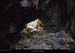 079_31_duataocave