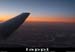 avion17