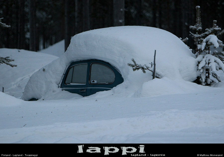 torasieppi06