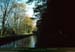 19901010_paysagesducanalensousbois2