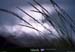19950900_kleifarvatn_epietreflet1