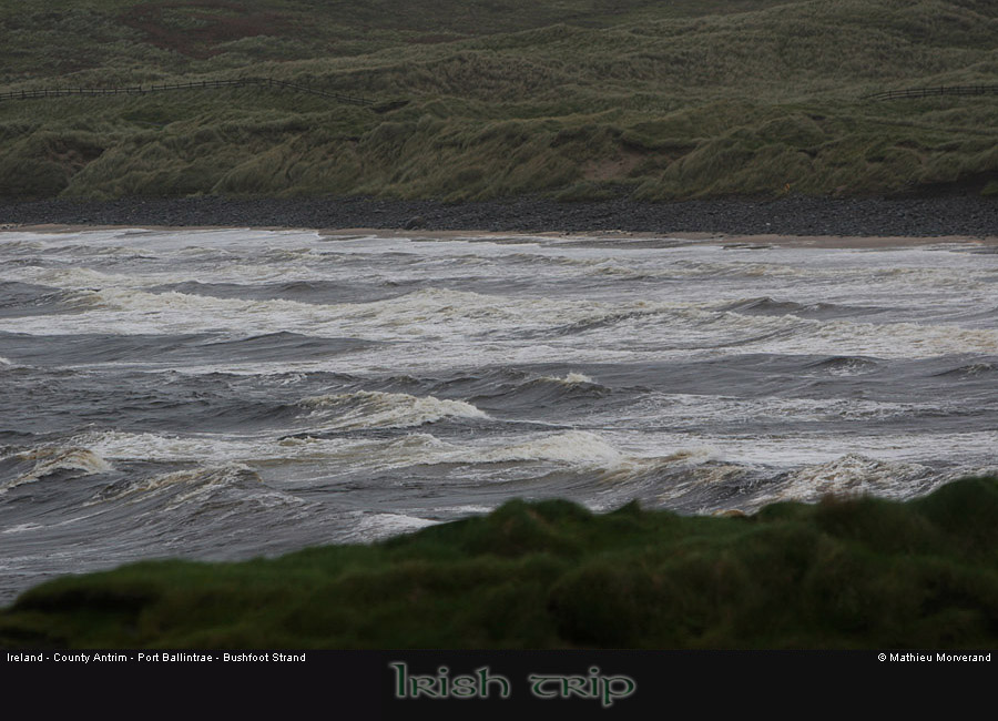 bushfootstrand1