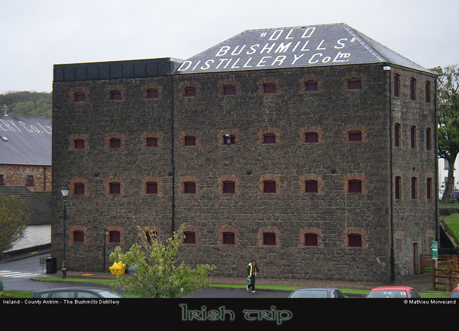 bushmillsdistillery