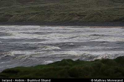 bushfootstrand1