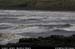 bushfootstrand2