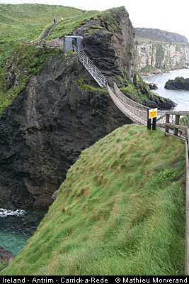carrickarede19