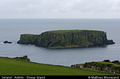 sheepisland02