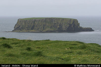 sheepisland04