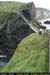 carrickarede19