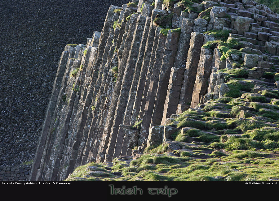 giantcauseway37titledcolumns