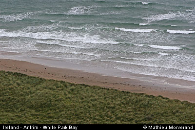 whiteparkbay3