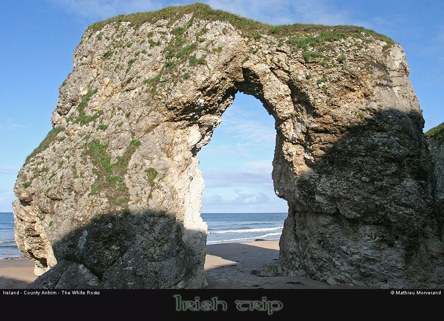 thewhiterocks19