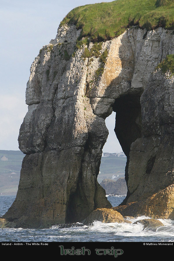 thewhiterocks23