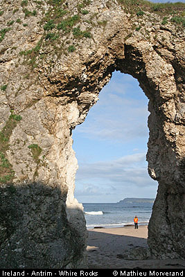 thewhiterocks17