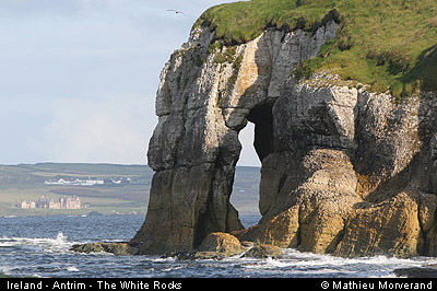 thewhiterocks22