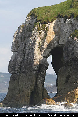 thewhiterocks23