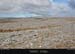 burren05