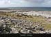 burrenblackhead02