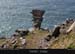 cliffofmoher39