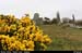 12stonecircle_02