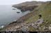 cronagan16