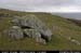 cronagan41