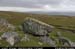 cronagan42