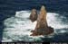 rinrawrosbay29