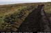 rinrawrosbogs02