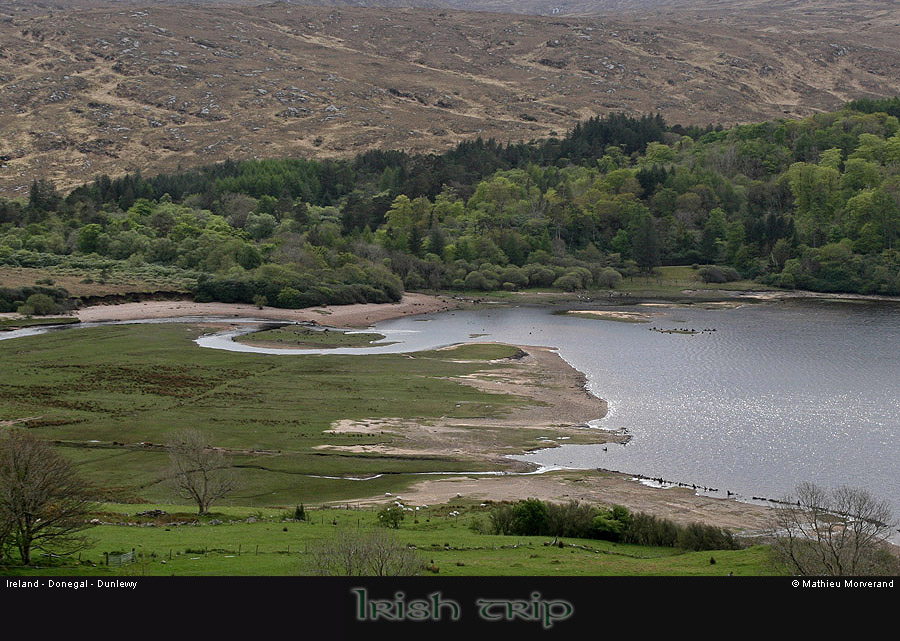 dunlewy5