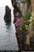 ougueportbay01