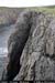 tharalpoint03