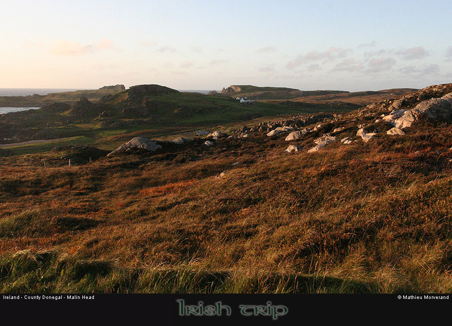 malinhead01