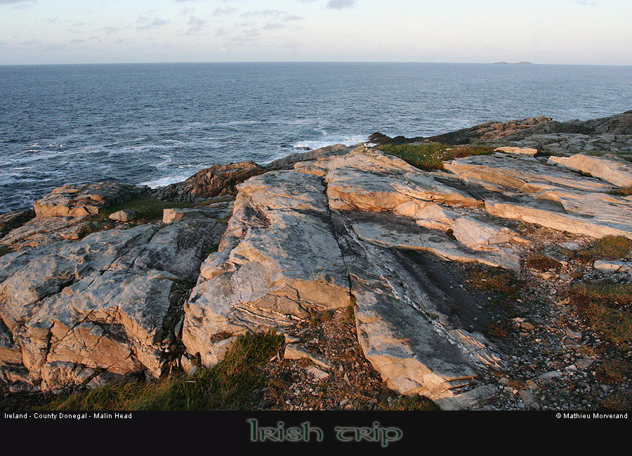 malinhead02