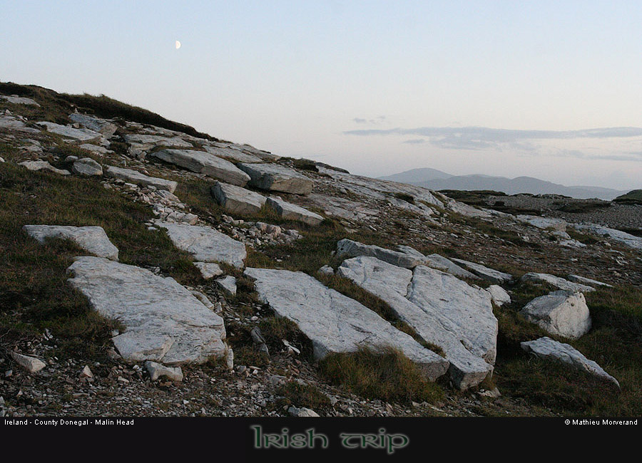 malinhead03