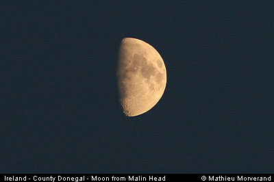 malinheadmoon