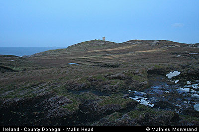 malinheadtower05