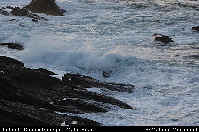 malinheadwest08