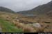 port03killyfanned