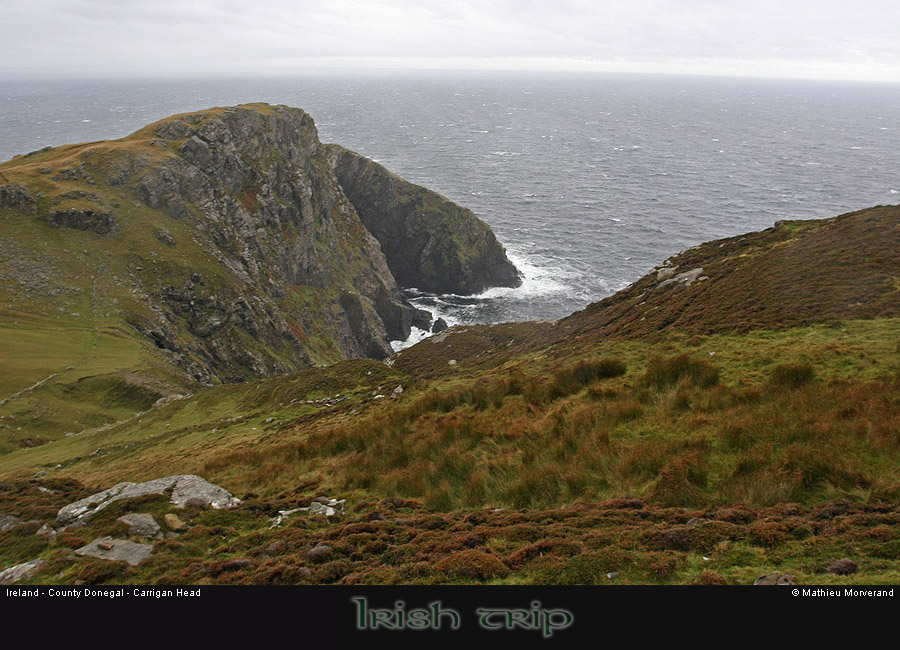 carriganhead01