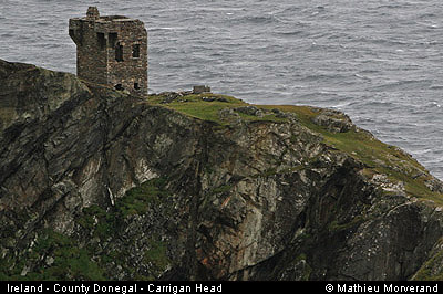 carriganhead03